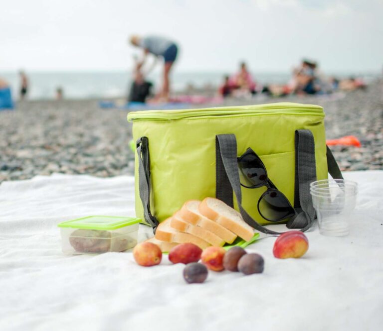 picnic-mare